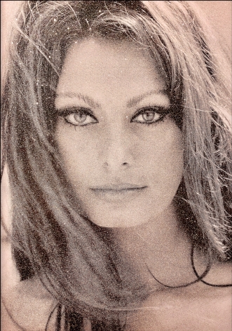 Sophia Loren (Pink)